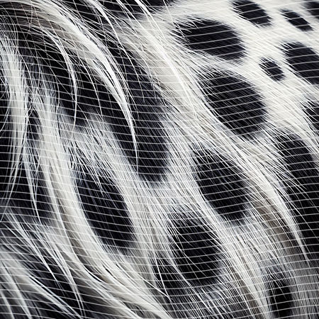 20oz integrate-EJ-7192